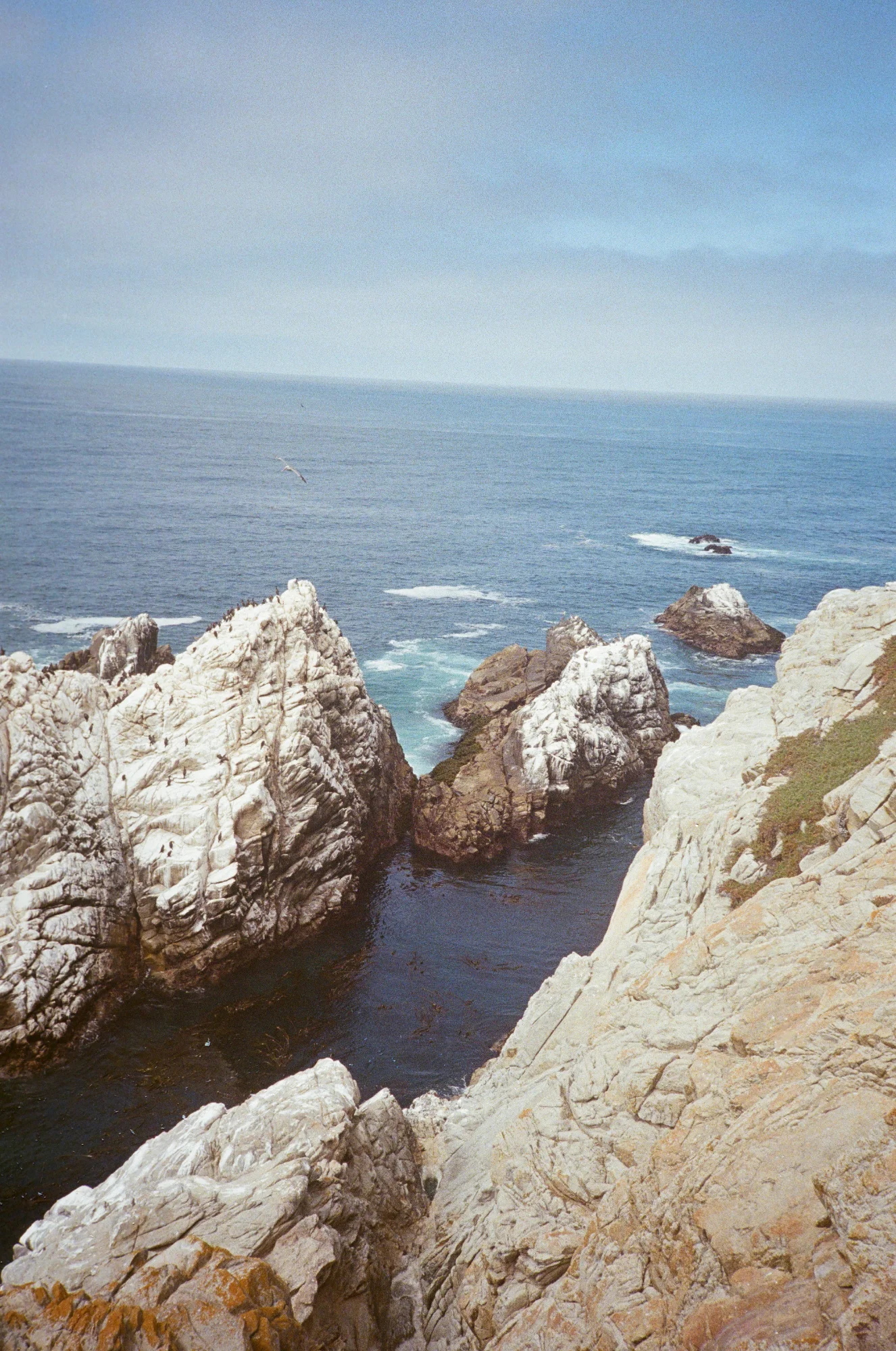 Rocky coastline
